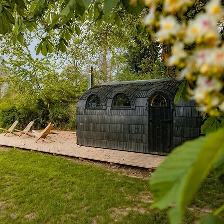 Spacious Vacation With A Garden View