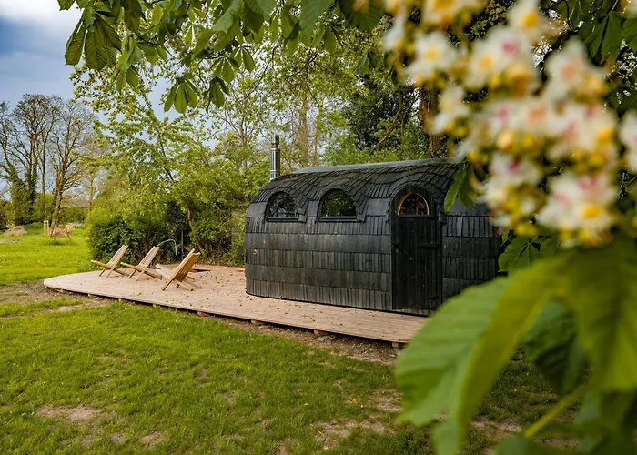 Spacious Vacation With A Garden View